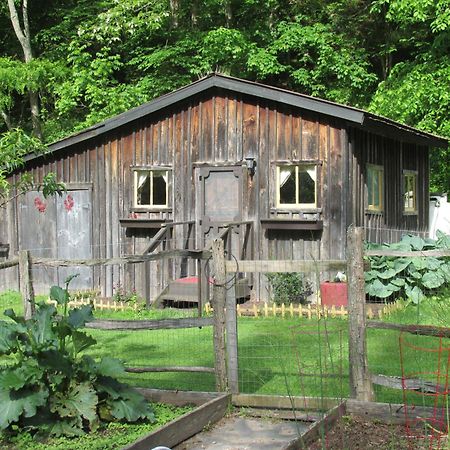 The Renovated Barn At Seneca Rocks Vila Exterior foto