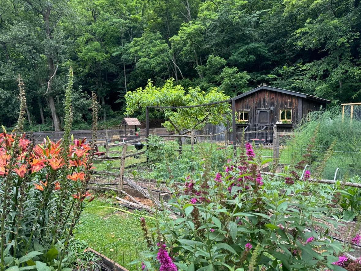 The Renovated Barn At Seneca Rocks Vila Exterior foto