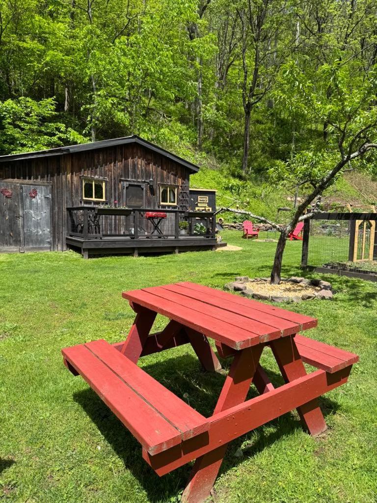 The Renovated Barn At Seneca Rocks Vila Exterior foto