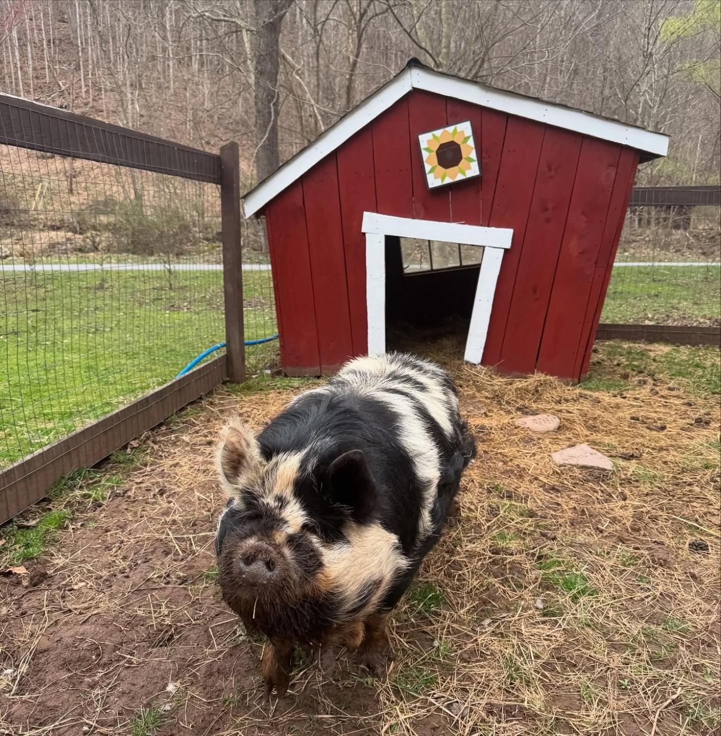 The Renovated Barn At Seneca Rocks Vila Exterior foto