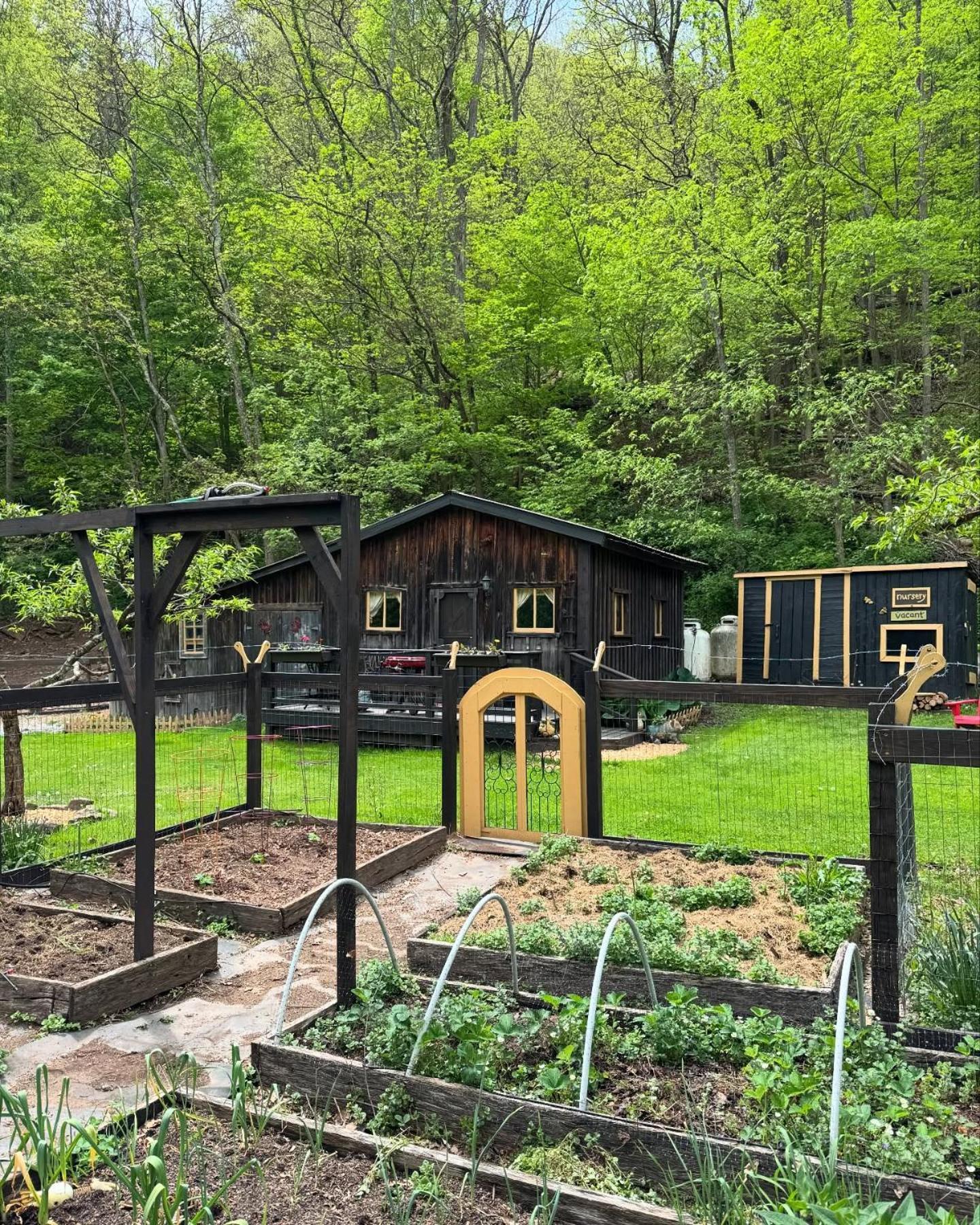 The Renovated Barn At Seneca Rocks Vila Exterior foto